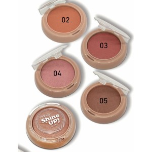 Blush Shine Up Mahav Cor 05 Compacto